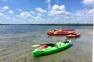 New Smyrna Beach Kayak Dolphin Eco Tour 2 hr