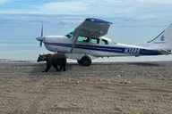 Anchorage Bear Viewing Airplane Adventure thumbnail 5