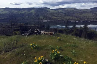 Columbia Gorge Hiking Tour Full-Day