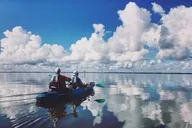 Cocoa Beach Mangrove Tunnel Kayak Tour thumbnail 4