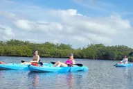 Naples Guided Paddleboard or Kayak Tour thumbnail 4