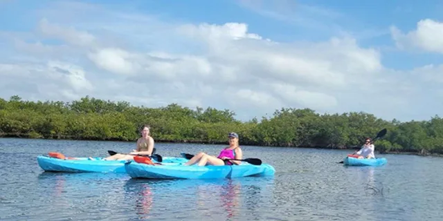 Naples Guided Paddleboard or Kayak Tour - Image 4
