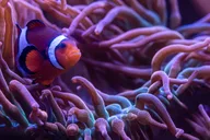 New York Aquarium Entry Ticket thumbnail 1