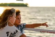 Tampa Bay Eco Cruise with Wildlife Viewing 2 hr thumbnail 1