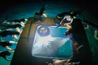 Hawaii Manta Ray Snorkel Experience 2 hr thumbnail 2