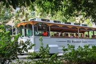 Savannah Historic Sightseeing Trolley Tour thumbnail 3