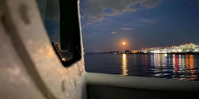 Boston Harbor Moonlight Cruise - Image 5