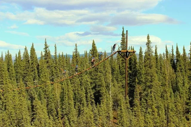 Denali Zipline Adventure - Image 3