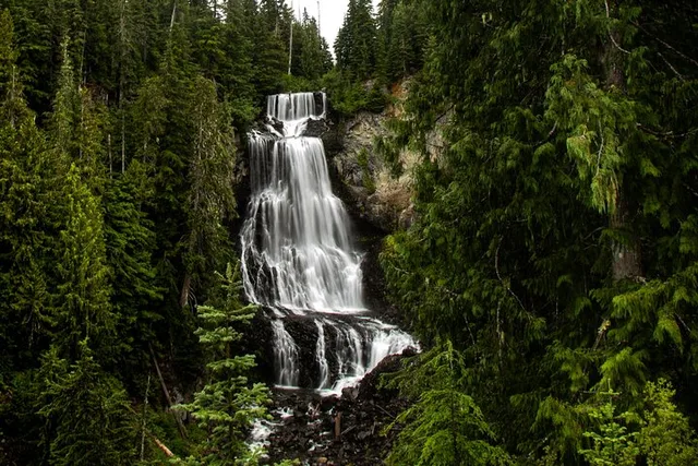 Bellingham to Whistler Private Tour - Image 5