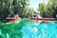Crystal River Kayak Rental thumbnail 4