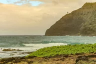 Oahu Pearl Harbor & Circle Island Tour thumbnail 4