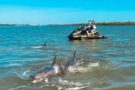 Marco Island Jet Ski Eco Tour thumbnail 1