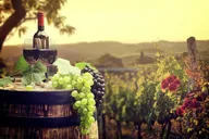 San Diego Wine Country Tour thumbnail 3
