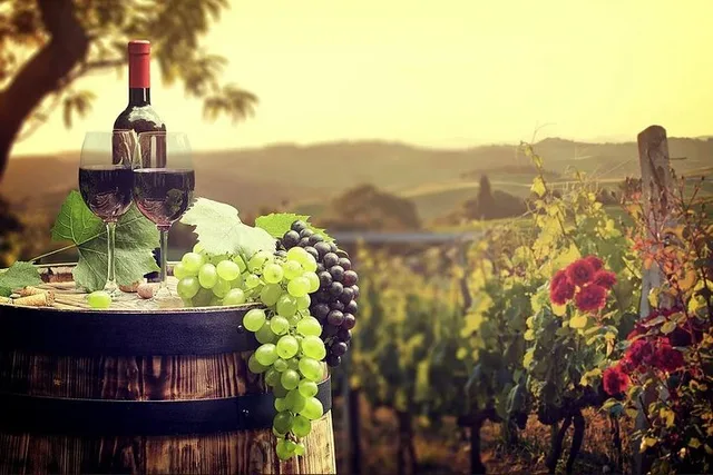 San Diego Wine Country Tour - Image 3