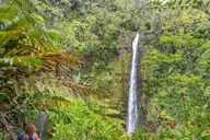 Big Island Waterfalls Tour thumbnail 4