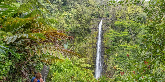 Big Island Waterfalls Tour - Image 4