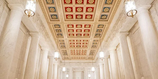 Washington DC Capitol Hill Guided Tour - Image 1