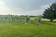 Long Island Private Winery Tour thumbnail 3