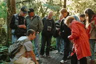 Ketchikan Rainforest Sanctuary and Totem Park Walk thumbnail 2