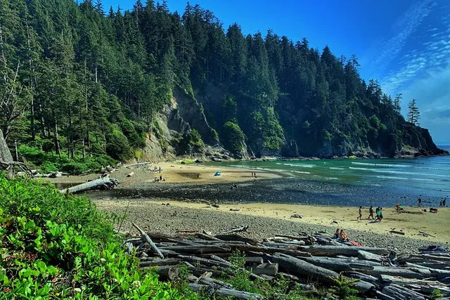 Portland Coastal Tour to Cannon Beach and Haystack Rock - Image 4