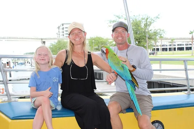 Orange Beach Dolphin and Sunset Cruise - Image 6