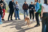 Los Angeles Hollywood Sign Walking Tour thumbnail 1