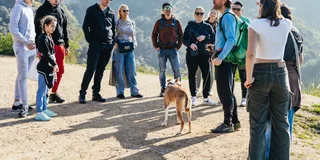 Los Angeles Hollywood Sign Walking Tour