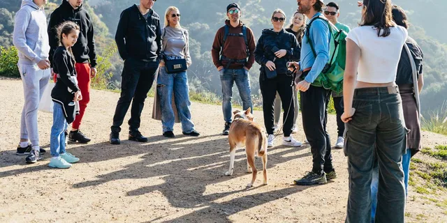 Los Angeles Hollywood Sign Walking Tour - Image 1