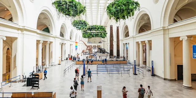 Chicago Field Museum of Natural History Tour - Image 1