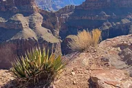 Las Vegas Grand Canyon Helicopter and Raft Tour thumbnail 6