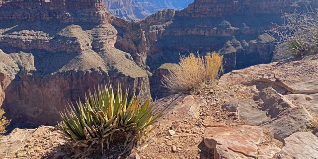 Las Vegas Grand Canyon Helicopter and Raft Tour - Image 6