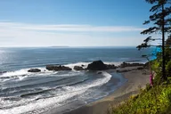 Seattle Olympic National Park Tour with Ferry Ride thumbnail 5