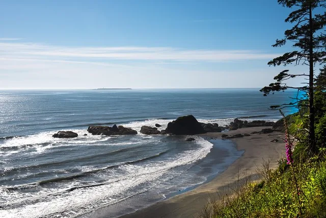 Seattle Olympic National Park Tour with Ferry Ride - Image 5
