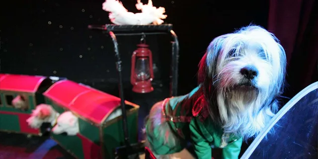 Las Vegas Comedy Pet Theater - Image 4