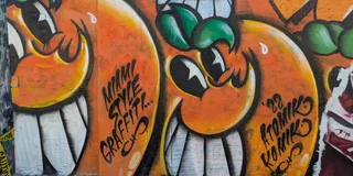 Miami Street Art Tour in Wynwood (2 hr)