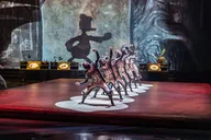 Orlando Cirque du Soleil Show thumbnail 2