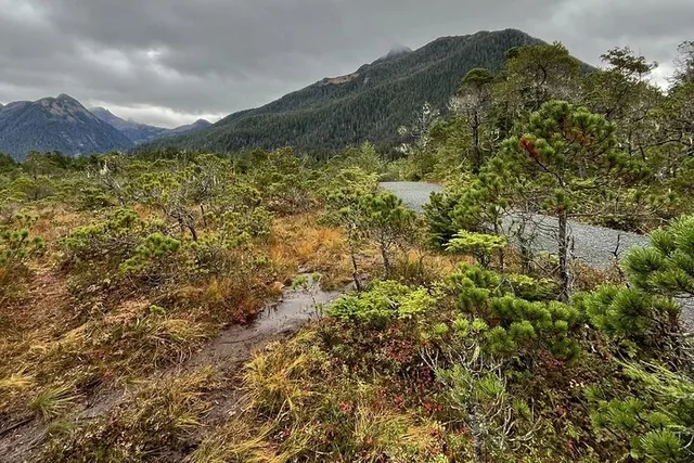 Sitka Tongass National Forest Hike - Image 5