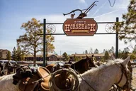 Utah Horseback Ride 1.5 Hour thumbnail 1