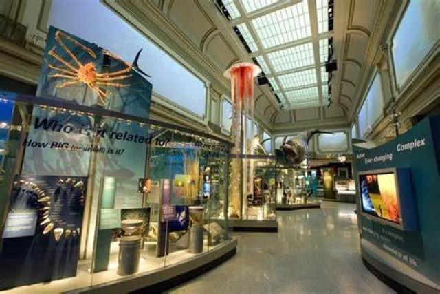 Washington D.C. Museum Tour - Image 2