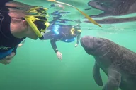 Crystal River Manatee Swim with Free Photos 3 hr thumbnail 6