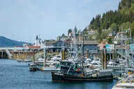 Ketchikan Misty Fjords Floatplane Tour 2 hr thumbnail 5