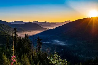 Ketchikan Backcountry Driving Tour in the Tongass