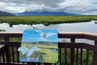 Whittier to Anchorage Land Transfer Tour thumbnail 5