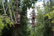 Orlando Tree Trek Adventure Park thumbnail 1