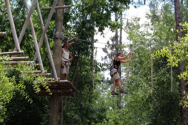 Orlando Tree Trek Adventure Park - Image 1