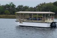 Crystal River Wildlife Boat Tour with Naturalist Guide thumbnail 4