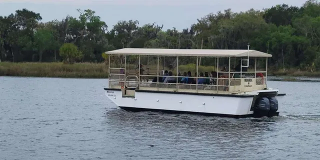 Crystal River Wildlife Boat Tour with Naturalist Guide - Image 4