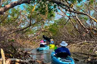 Big Hickory Island Hobie Kayak Eco Adventure thumbnail 1