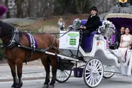 New York Central Park Carriage Ride thumbnail 1