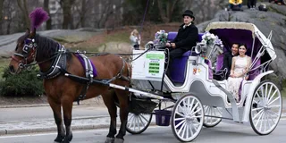 New York Central Park Carriage Ride
